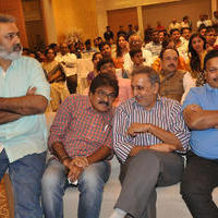 Kalyana Vaibhogame Movie Audio Launch Stills | Picture 1195304