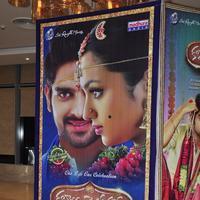 Kalyana Vaibhogame Movie Audio Launch Stills | Picture 1195457