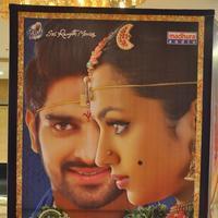Kalyana Vaibhogame Movie Audio Launch Stills | Picture 1195480