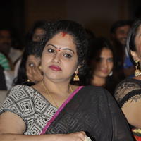 Actress Raasi at Kalyana Vaibhogame Movie Audio Launch Stills | Picture 1195690