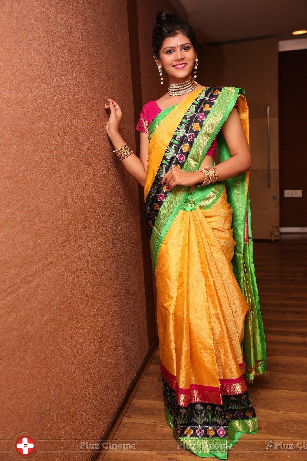 Sangeetha Kamath at Silk India Expo 2016 Curtain Raiser Event Stills | Picture 1196779