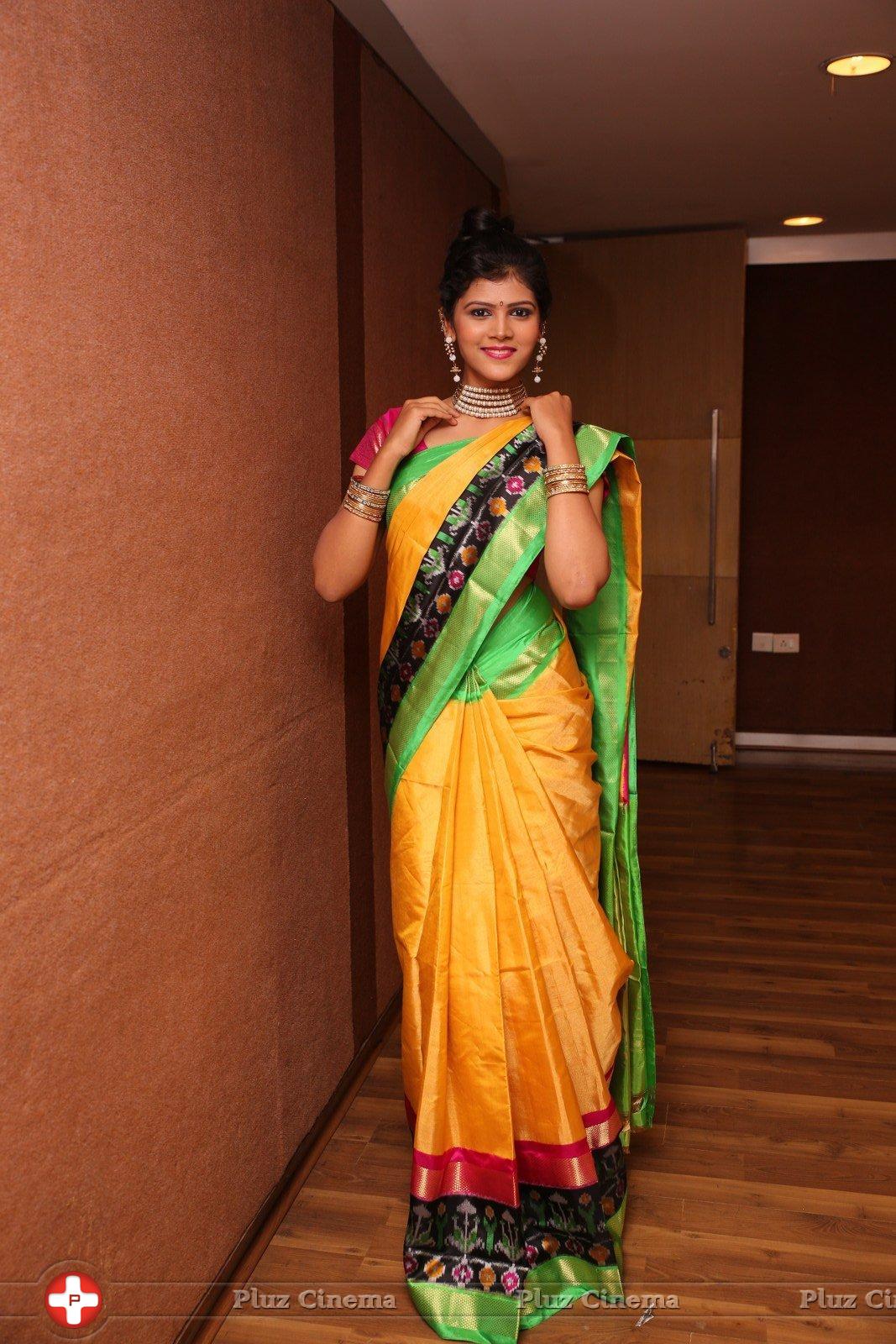 Sangeetha Kamath at Silk India Expo 2016 Curtain Raiser Event Stills | Picture 1196780