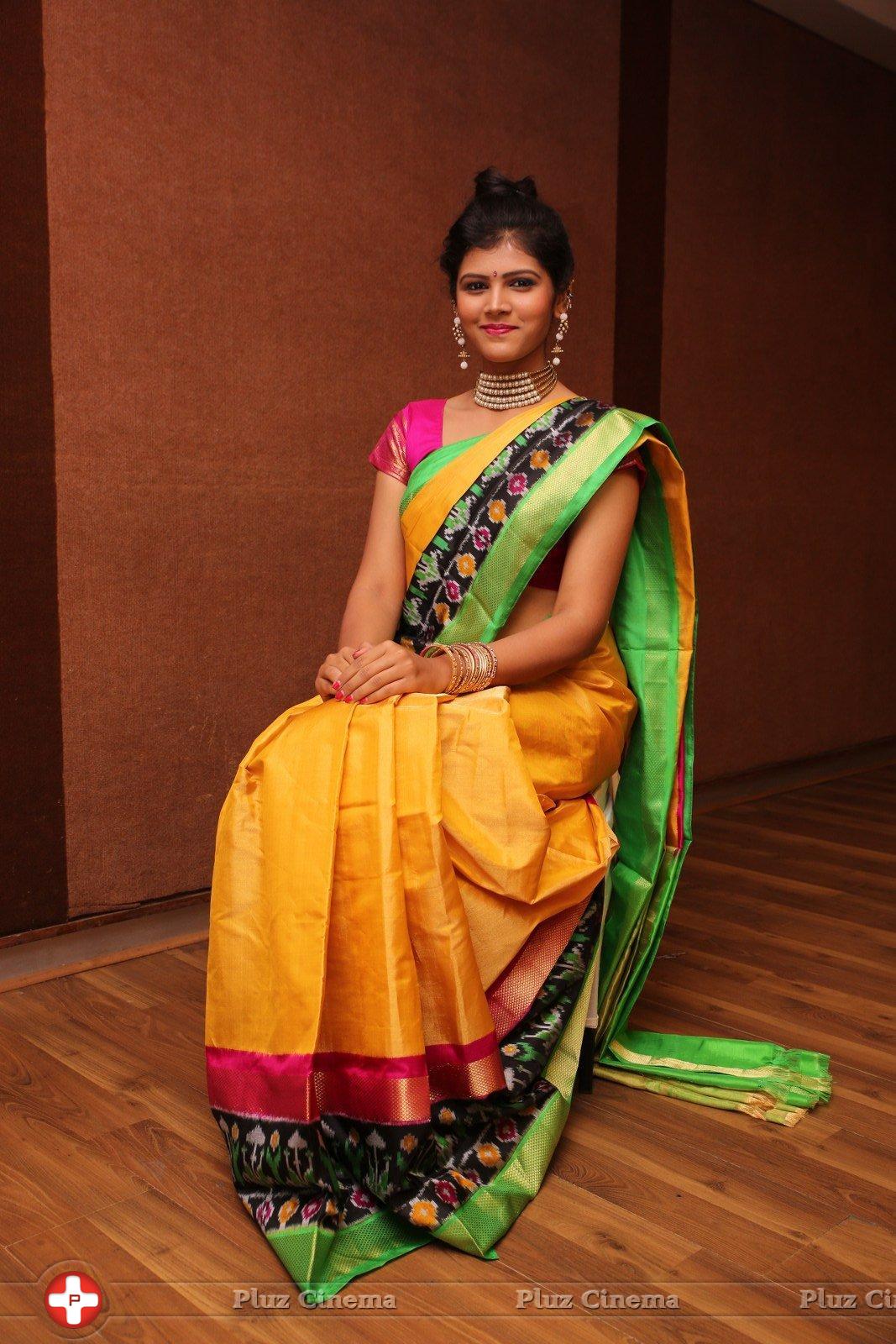 Sangeetha Kamath at Silk India Expo 2016 Curtain Raiser Event Stills | Picture 1196791