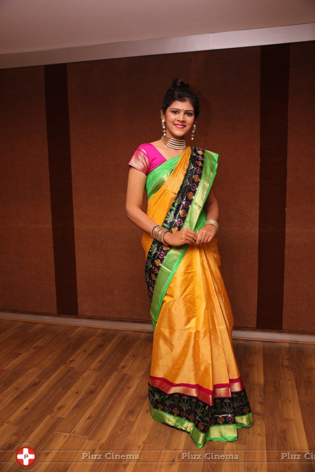 Sangeetha Kamath at Silk India Expo 2016 Curtain Raiser Event Stills | Picture 1196801