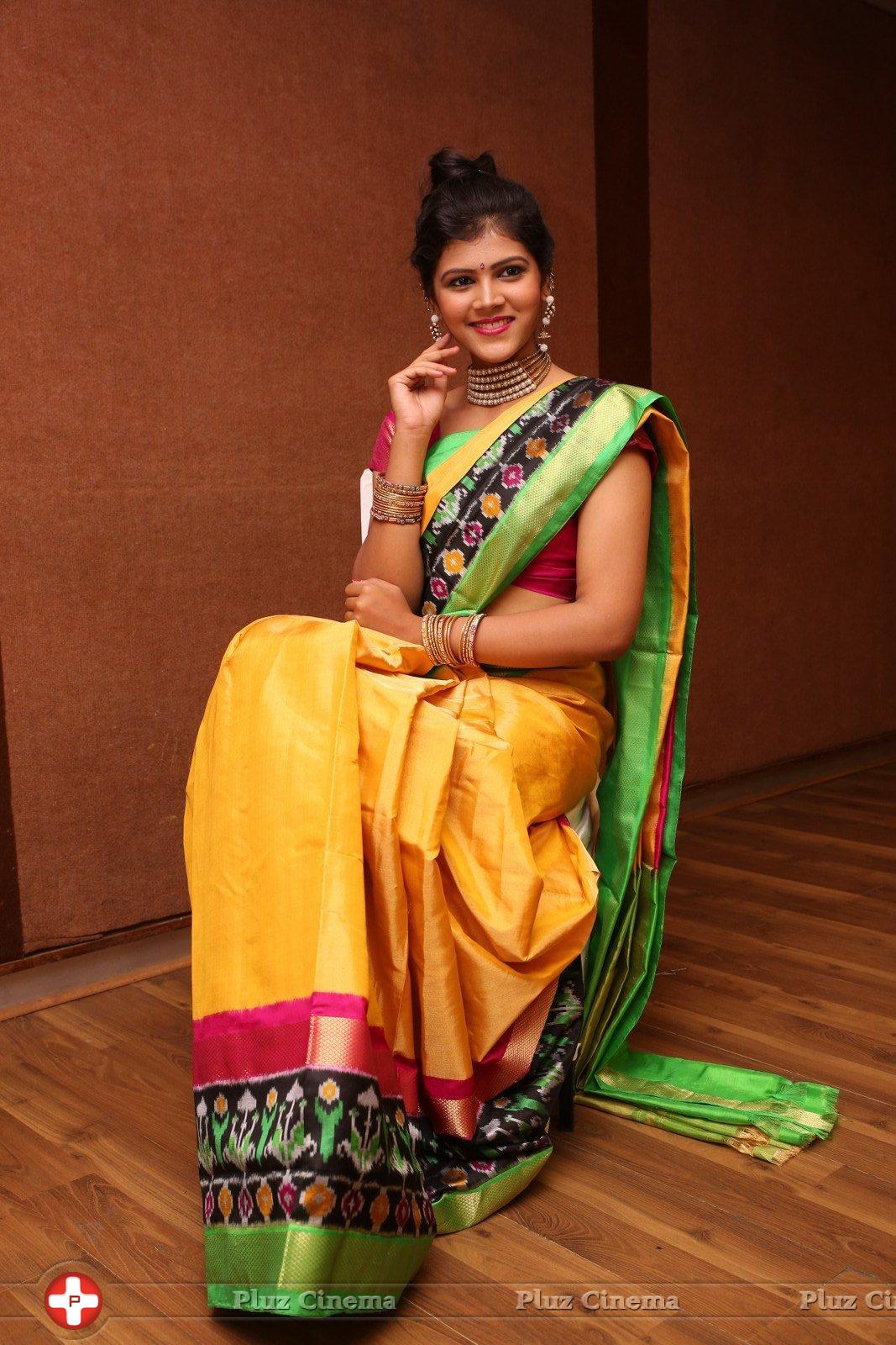 Sangeetha Kamath at Silk India Expo 2016 Curtain Raiser Event Stills | Picture 1196802
