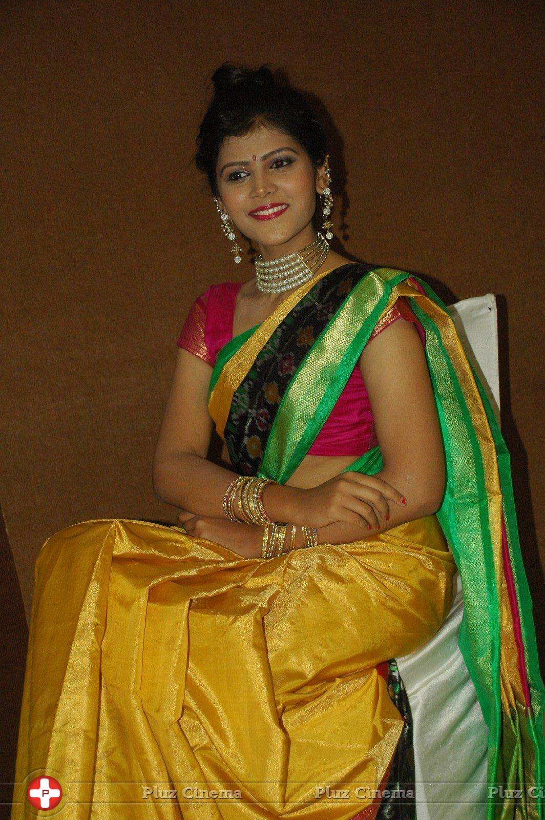 Sangeetha Kamath at Silk India Expo 2016 Curtain Raiser Event Stills | Picture 1196855