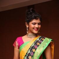Sangeetha Kamath at Silk India Expo 2016 Curtain Raiser Event Stills | Picture 1196772