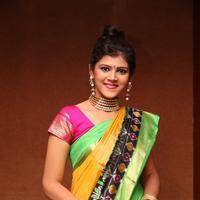 Sangeetha Kamath at Silk India Expo 2016 Curtain Raiser Event Stills | Picture 1196782
