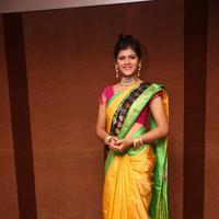 Sangeetha Kamath at Silk India Expo 2016 Curtain Raiser Event Stills | Picture 1196785