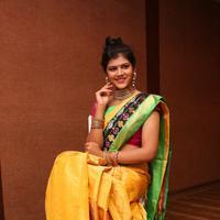 Sangeetha Kamath at Silk India Expo 2016 Curtain Raiser Event Stills | Picture 1196802