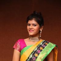 Sangeetha Kamath at Silk India Expo 2016 Curtain Raiser Event Stills | Picture 1196845