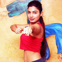 Avani Modi - Actress Avani Modi attends Bokwa at Fitness Expert Shirish Thakkar SDWM Fitness Studio Photos | Picture 1198594