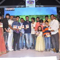Seethamma Andalu Ramayya Sitralu Movie Audio Launch Stills | Picture 1203587