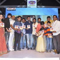 Seethamma Andalu Ramayya Sitralu Movie Audio Launch Stills | Picture 1203588