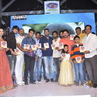 Seethamma Andalu Ramayya Sitralu Movie Audio Launch Stills | Picture 1203589