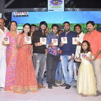 Seethamma Andalu Ramayya Sitralu Movie Audio Launch Stills | Picture 1203595
