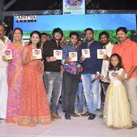 Seethamma Andalu Ramayya Sitralu Movie Audio Launch Stills | Picture 1203597