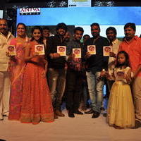 Seethamma Andalu Ramayya Sitralu Movie Audio Launch Stills | Picture 1203600