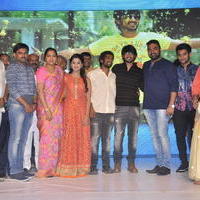 Seethamma Andalu Ramayya Sitralu Movie Audio Launch Stills | Picture 1203688