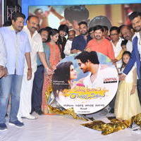 Seethamma Andalu Ramayya Sitralu Movie Audio Launch Stills | Picture 1203691