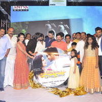 Seethamma Andalu Ramayya Sitralu Movie Audio Launch Stills | Picture 1203695