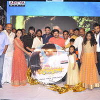 Seethamma Andalu Ramayya Sitralu Movie Audio Launch Stills | Picture 1203697
