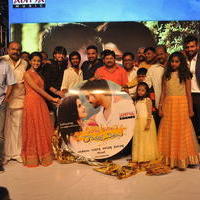 Seethamma Andalu Ramayya Sitralu Movie Audio Launch Stills | Picture 1203700