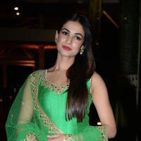 Sonal Chauhan at PVP Daughter Half Saree Function Event Stills | Picture 1203340