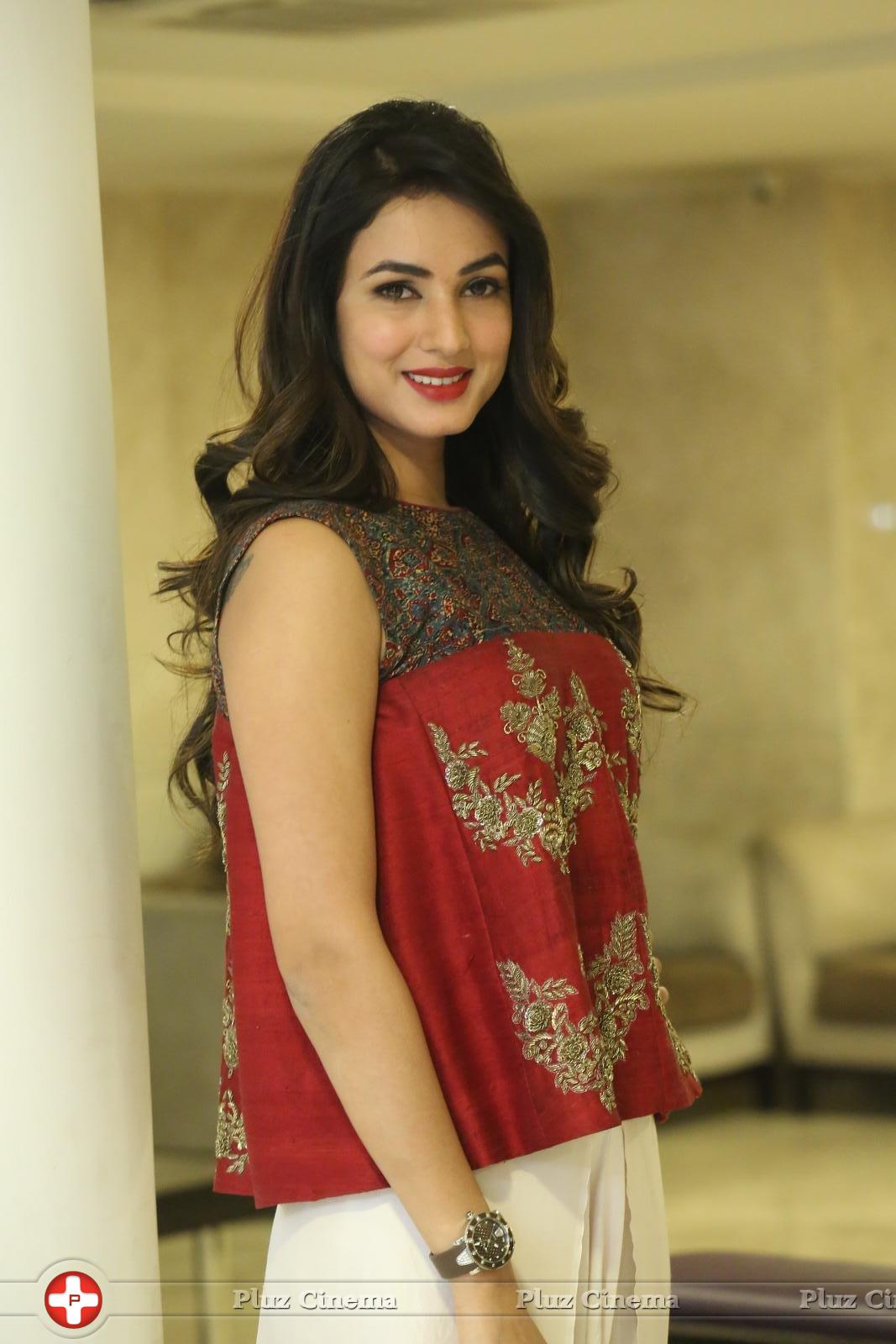 Sonal Chauhan at Dictator Movie Success Meet Stills | Picture 1208506