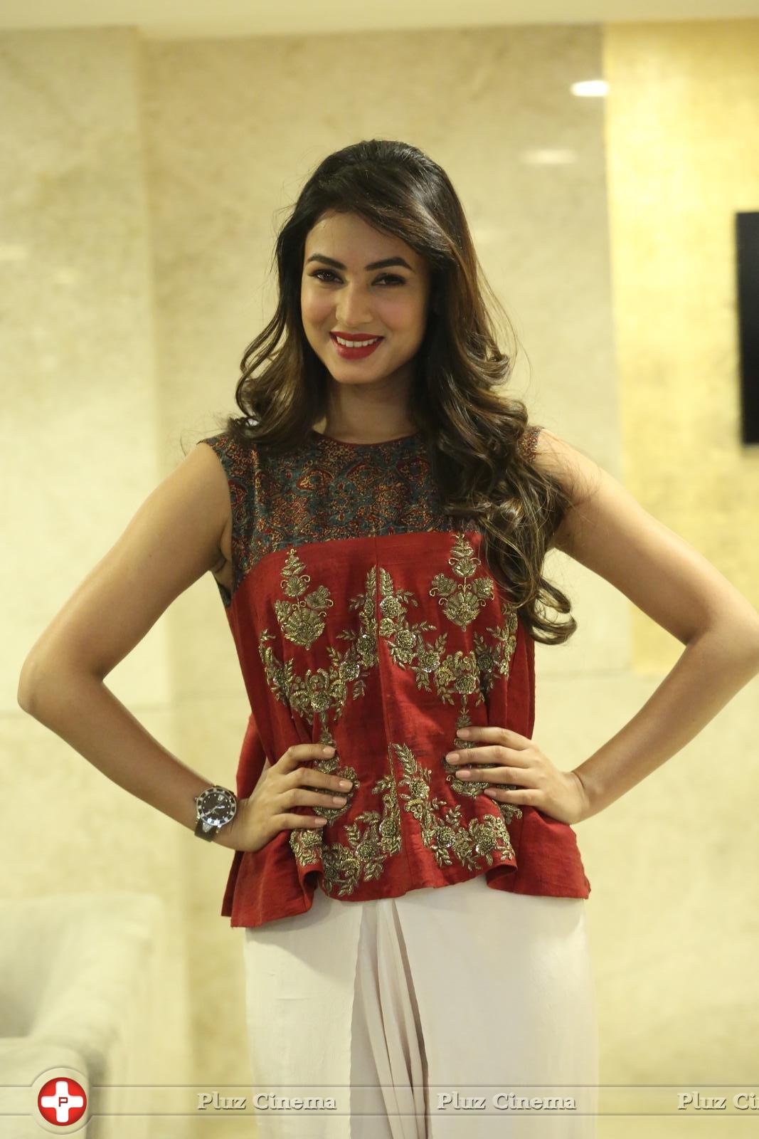 Sonal Chauhan at Dictator Movie Success Meet Stills | Picture 1208515