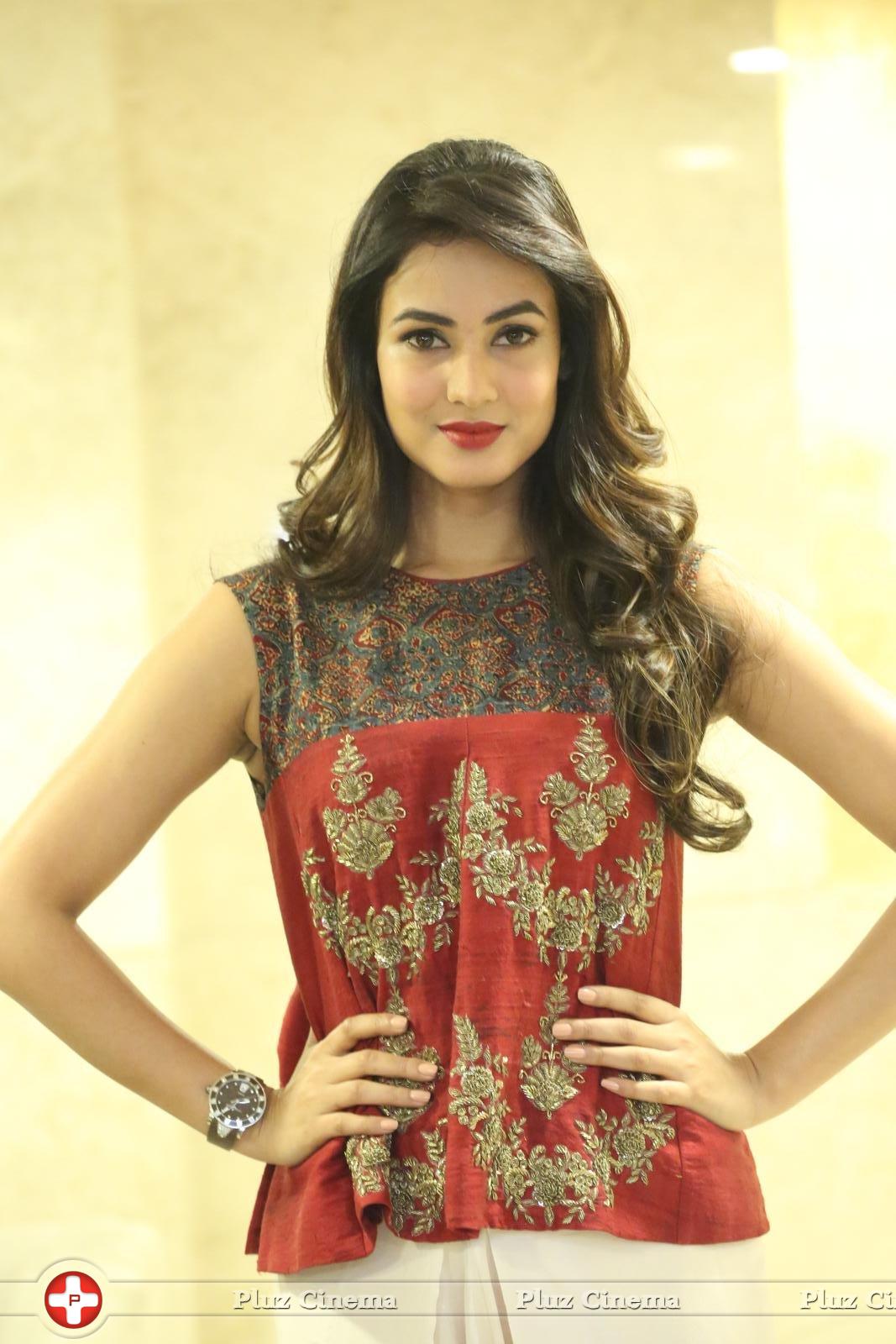 Sonal Chauhan at Dictator Movie Success Meet Stills | Picture 1208518