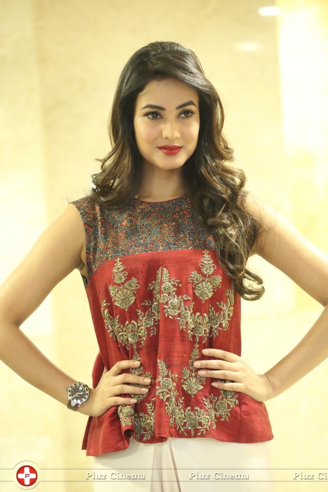 Sonal Chauhan at Dictator Movie Success Meet Stills | Picture 1208519