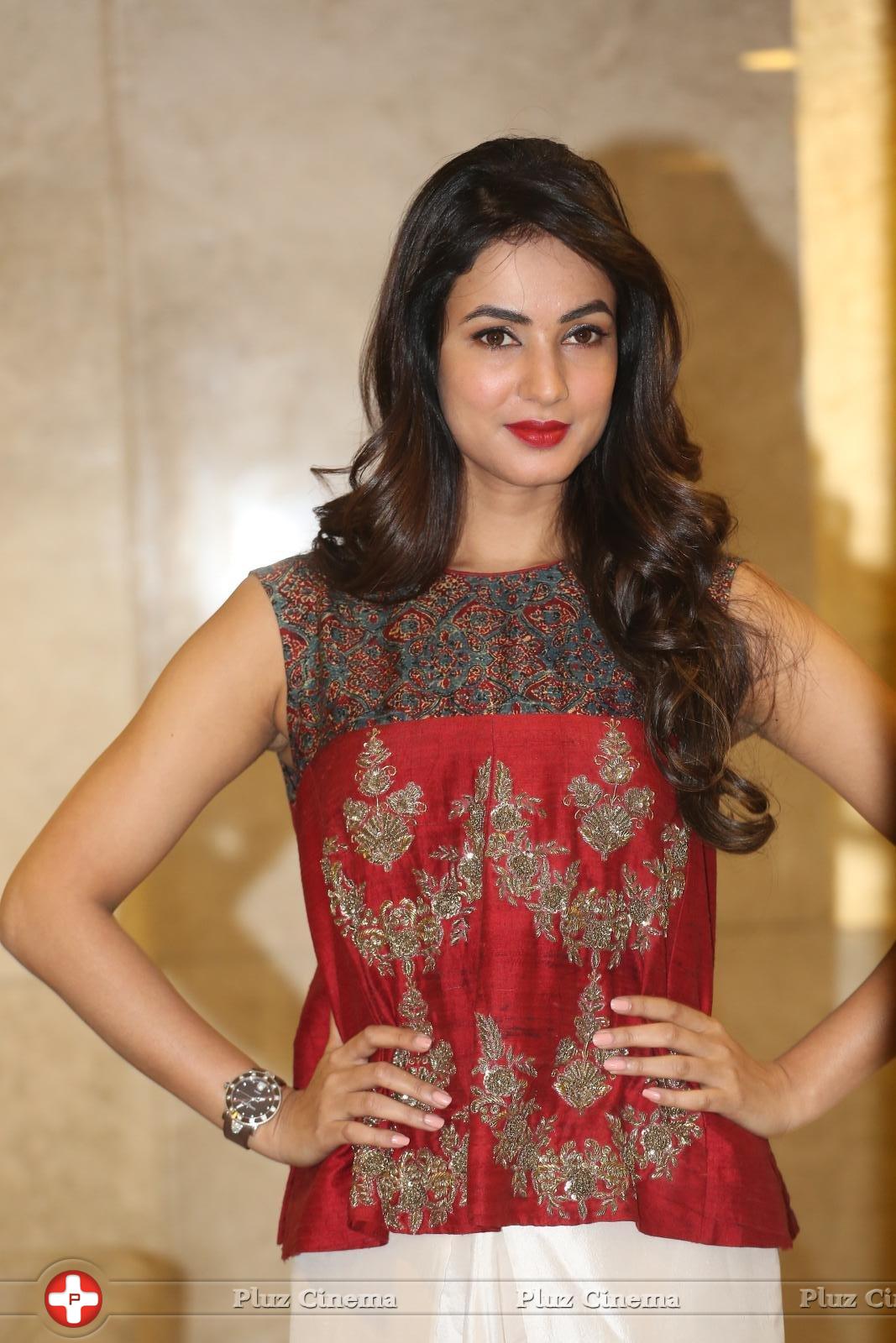 Sonal Chauhan at Dictator Movie Success Meet Stills | Picture 1208533
