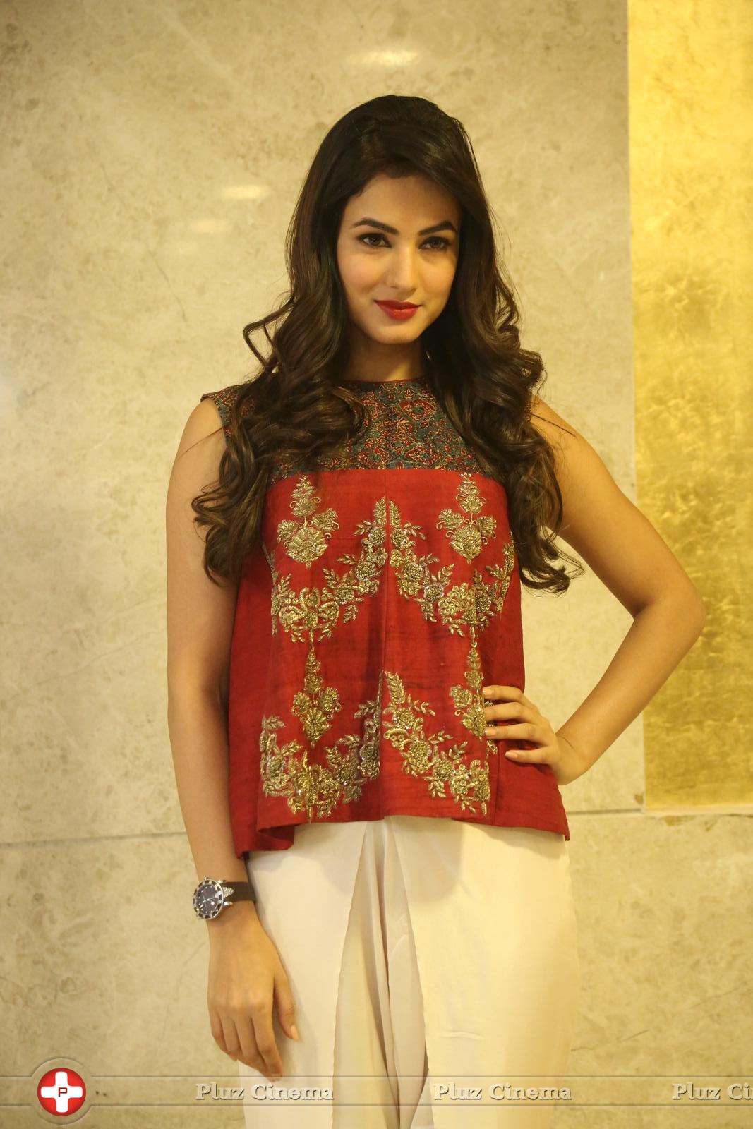 Sonal Chauhan at Dictator Movie Success Meet Stills | Picture 1208535