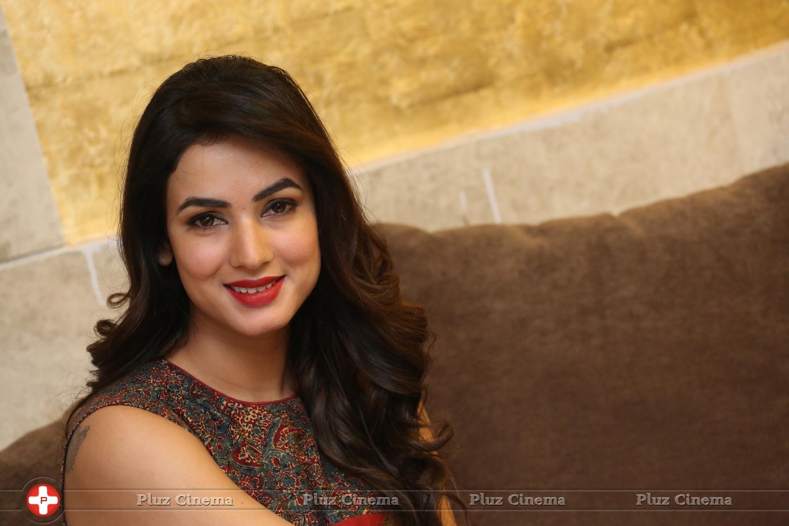 Sonal Chauhan at Dictator Movie Success Meet Stills | Picture 1208540