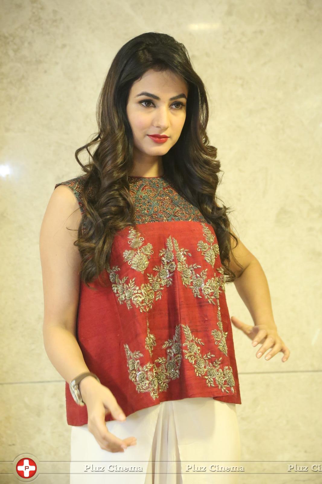 Sonal Chauhan at Dictator Movie Success Meet Stills | Picture 1208541