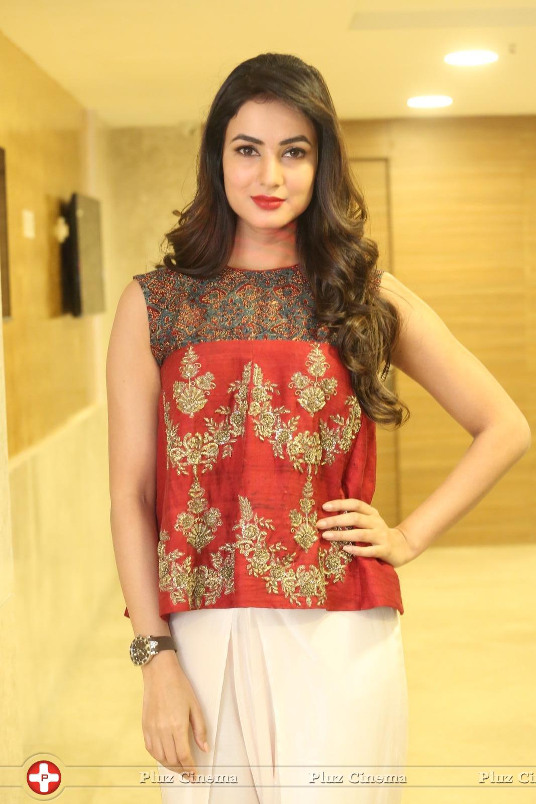 Sonal Chauhan at Dictator Movie Success Meet Stills | Picture 1208562