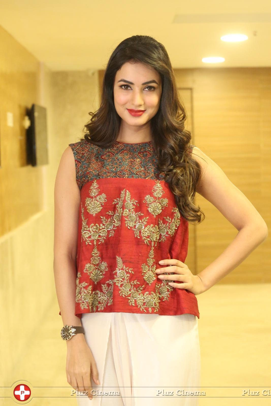 Sonal Chauhan at Dictator Movie Success Meet Stills | Picture 1208565