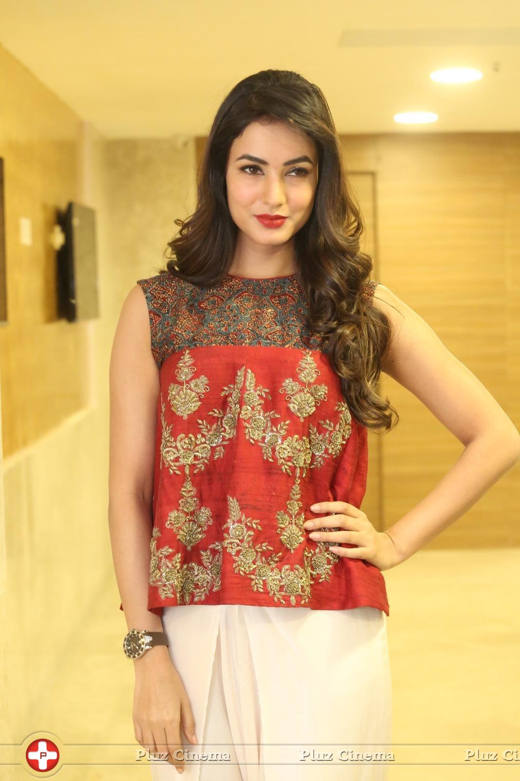 Sonal Chauhan at Dictator Movie Success Meet Stills | Picture 1208566