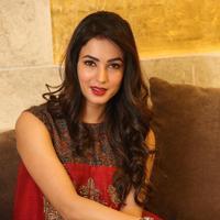 Sonal Chauhan at Dictator Movie Success Meet Stills | Picture 1208436