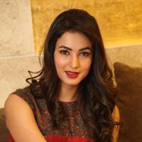 Sonal Chauhan at Dictator Movie Success Meet Stills | Picture 1208439