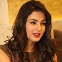 Sonal Chauhan at Dictator Movie Success Meet Stills | Picture 1208440