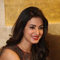 Sonal Chauhan at Dictator Movie Success Meet Stills | Picture 1208442