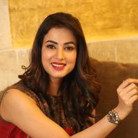 Sonal Chauhan at Dictator Movie Success Meet Stills | Picture 1208445