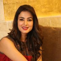 Sonal Chauhan at Dictator Movie Success Meet Stills | Picture 1208446