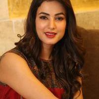 Sonal Chauhan at Dictator Movie Success Meet Stills | Picture 1208448