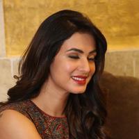 Sonal Chauhan at Dictator Movie Success Meet Stills | Picture 1208449