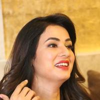 Sonal Chauhan at Dictator Movie Success Meet Stills | Picture 1208453