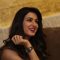 Sonal Chauhan at Dictator Movie Success Meet Stills | Picture 1208480