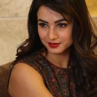 Sonal Chauhan at Dictator Movie Success Meet Stills | Picture 1208485